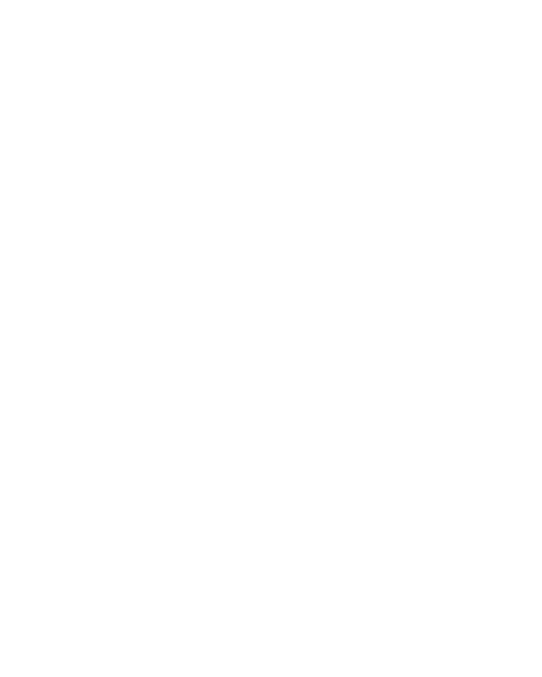 Conheça a história do Grupo Piffer